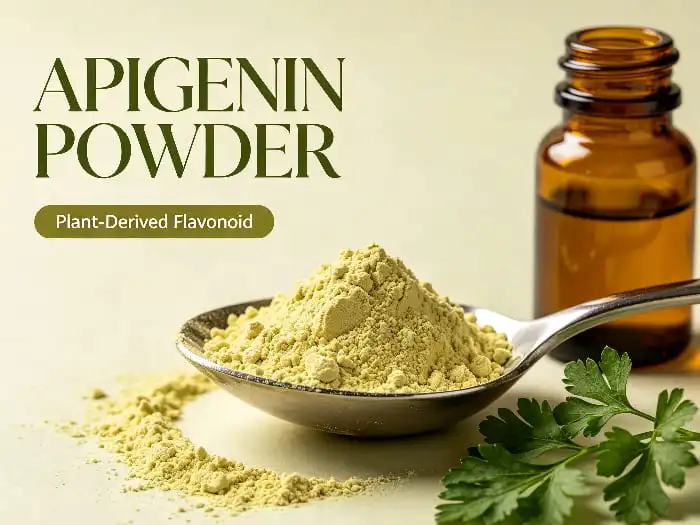 Discover the Health Benefits of Apigenin Extract: A Powerful Antioxidant